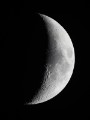 Mond 28.03.2012 1500mm Eos 50D Ausschnitt